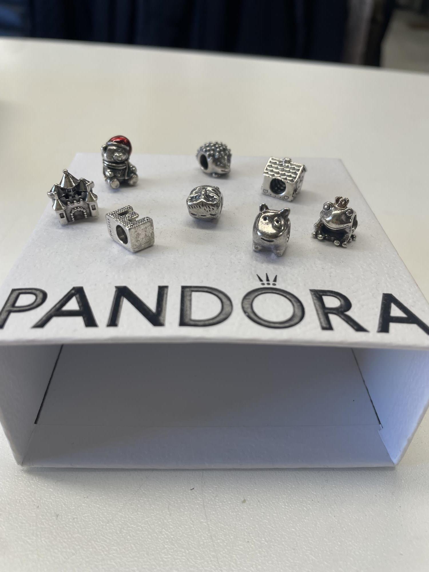 ciondolini vari charm argento Pandora